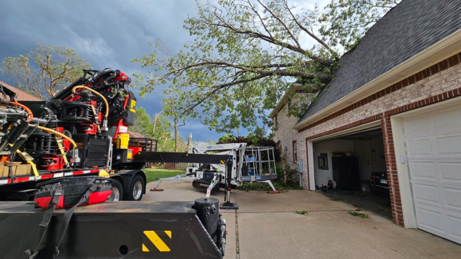 Elite tree Machine for tree removal,trimming,pruning and other tree care